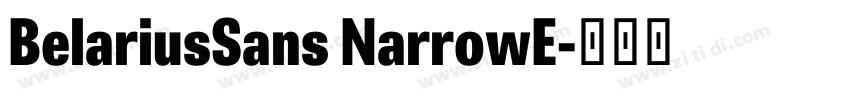 BelariusSans NarrowE字体转换 BelariusSans NarrowE字体转换